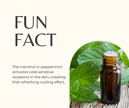 The Benefits of Peppermint Essential Oil: Fresh, Grounding & Comforting